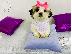 PoulaTo: shih tzu κουτάβια